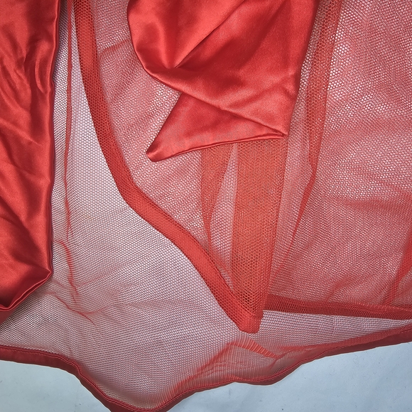 Adore Me Babydoll Lingerie Set - Women's Size XL Valentine's Day Outfit - Picture 8 of 14